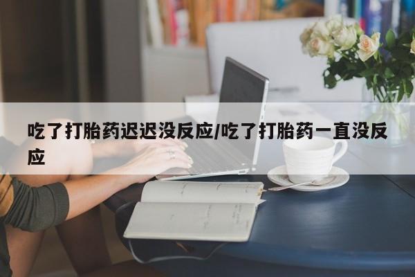 米非米索网上药店官网吃了打胎药迟迟没反应/吃了打胎药一直没反应