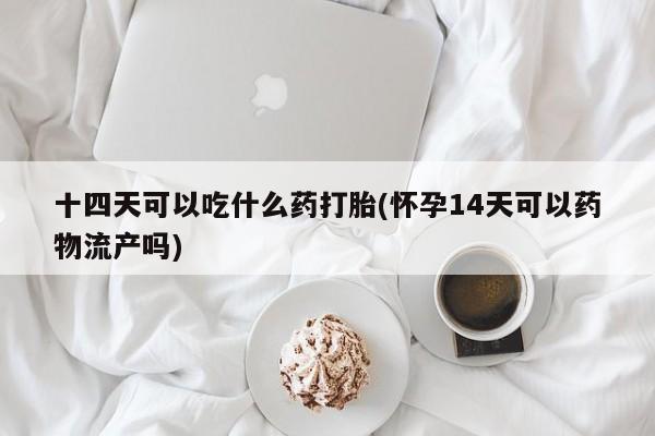米非米索网上药店官网十四天可以吃什么药打胎(怀孕14天可以药物流产吗)